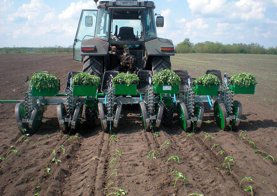 Transplanter Image